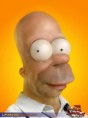 /album/fotogaleria1/homer-in-real-life-the-simpsons-13248283-500-670-jpg/